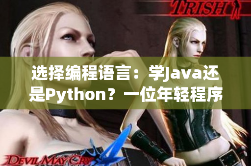 选择编程语言：学Java还是Python？一位年轻程序员的抉择