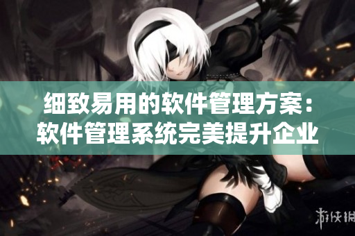 细致易用的软件管理方案：软件管理系统完美提升企业效率