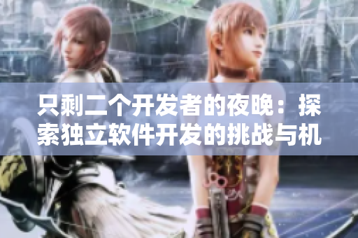 只剩二个开发者的夜晚：探索独立软件开发的挑战与机遇