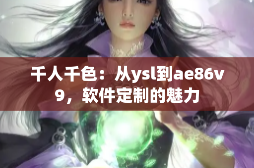 千人千色：从ysl到ae86v9，软件定制的魅力
