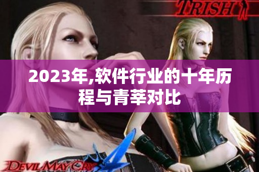 2023年,软件行业的十年历程与青莘对比