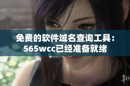 免费的软件域名查询工具：565wcc已经准备就绪