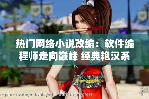 热门网络小说改编：软件编程师走向巅峰 经典艳汉系列连载四册