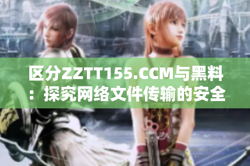 区分ZZTT155.CCM与黑料：探究网络文件传输的安全性差异