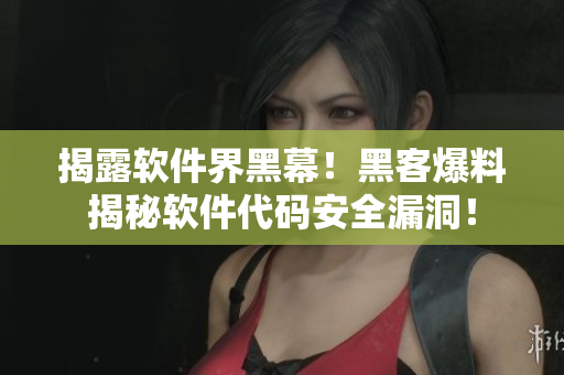 揭露软件界黑幕！黑客爆料揭秘软件代码安全漏洞！