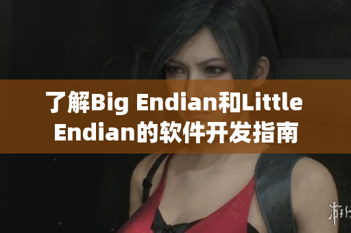 了解Big Endian和Little Endian的软件开发指南
