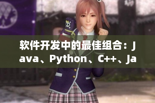 软件开发中的最佳组合：Java、Python、C++、JavaScript