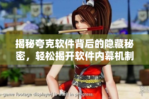揭秘夸克软件背后的隐藏秘密，轻松揭开软件内幕机制