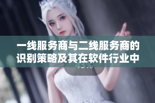 一线服务商与二线服务商的识别策略及其在软件行业中的应用