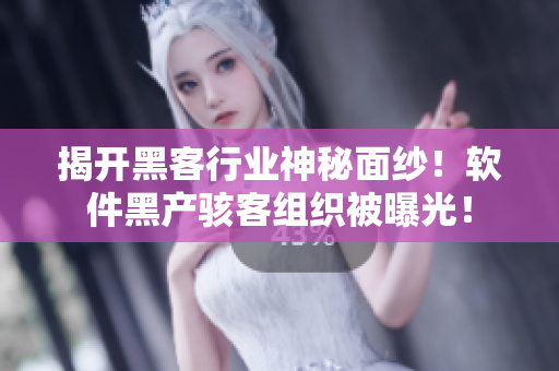 揭开黑客行业神秘面纱！软件黑产骇客组织被曝光！