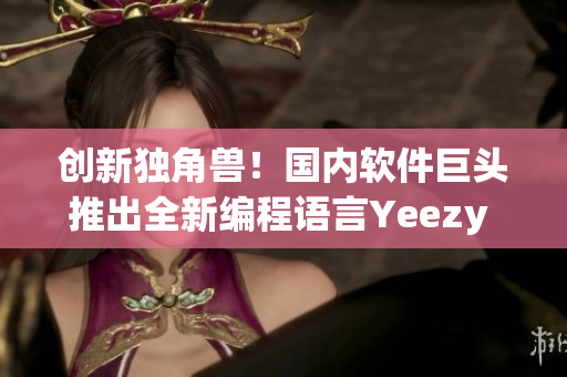 创新独角兽！国内软件巨头推出全新编程语言Yeezy 451