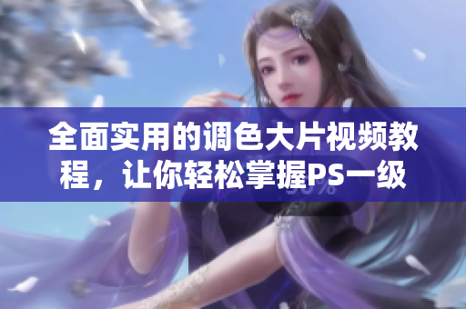 全面实用的调色大片视频教程，让你轻松掌握PS一级二级技巧