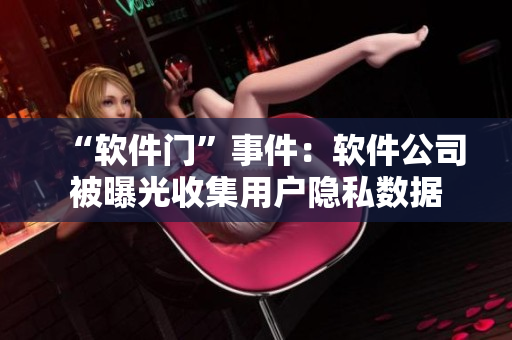 “软件门”事件：软件公司被曝光收集用户隐私数据