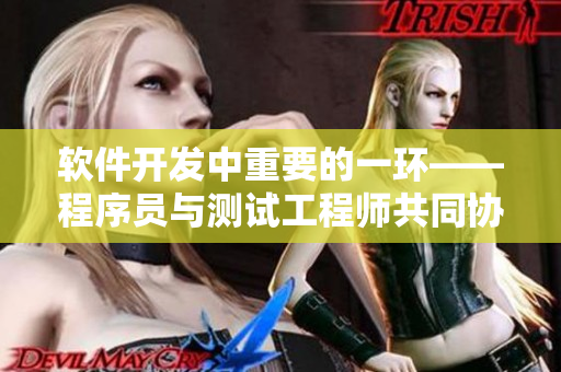 软件开发中重要的一环——程序员与测试工程师共同协作