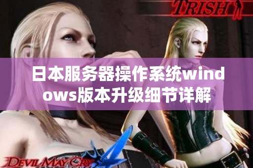 日本服务器操作系统windows版本升级细节详解