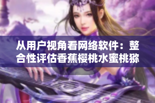 从用户视角看网络软件：整合性评估香蕉樱桃水蜜桃猕猴桃菠萝的优劣