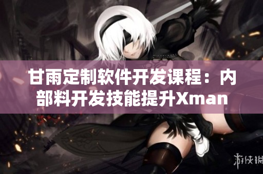 甘雨定制软件开发课程：内部料开发技能提升Xman