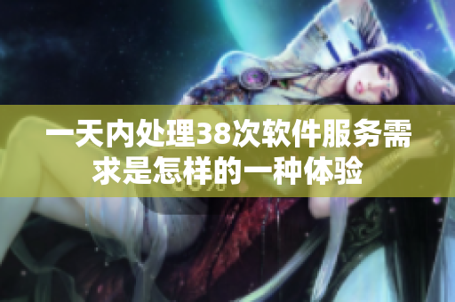 一天内处理38次软件服务需求是怎样的一种体验