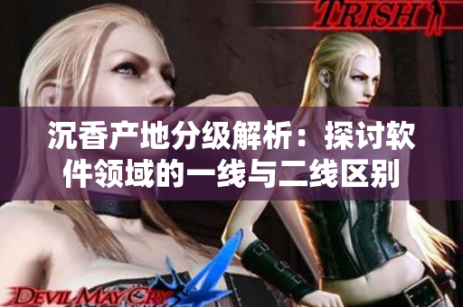 沉香产地分级解析：探讨软件领域的一线与二线区别