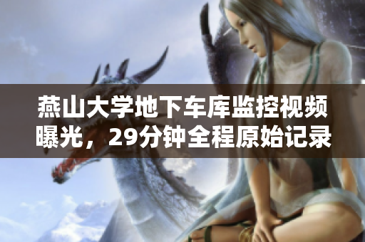 燕山大学地下车库监控视频曝光，29分钟全程原始记录首次曝光