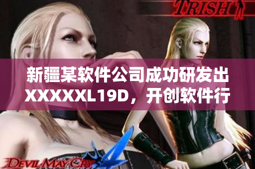 新疆某软件公司成功研发出XXXXXL19D，开创软件行业全新模式