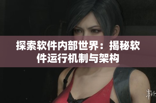 探索软件内部世界：揭秘软件运行机制与架构