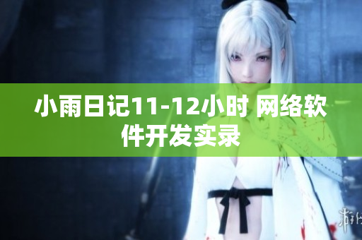 小雨日记11-12小时 网络软件开发实录