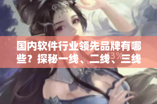 国内软件行业领先品牌有哪些？探秘一线、二线、三线软件厂商！