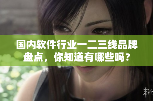 国内软件行业一二三线品牌盘点，你知道有哪些吗？