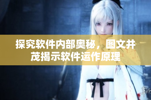 探究软件内部奥秘，图文并茂揭示软件运作原理