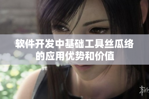 软件开发中基础工具丝瓜络的应用优势和价值