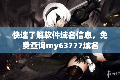 快速了解软件域名信息，免费查询my63777域名