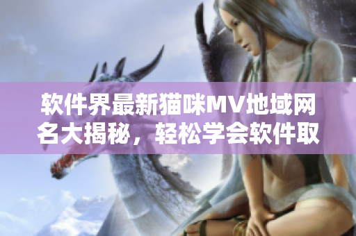 软件界最新猫咪MV地域网名大揭秘，轻松学会软件取名技巧