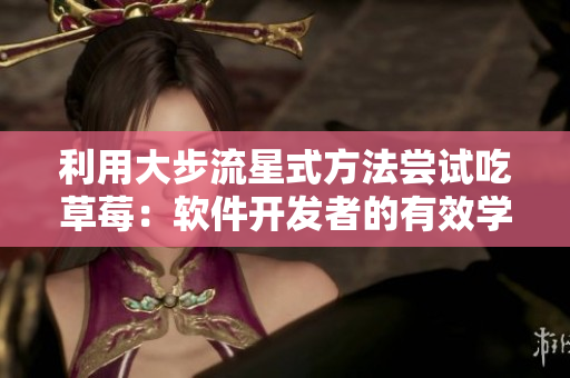 利用大步流星式方法尝试吃草莓：软件开发者的有效学习策略