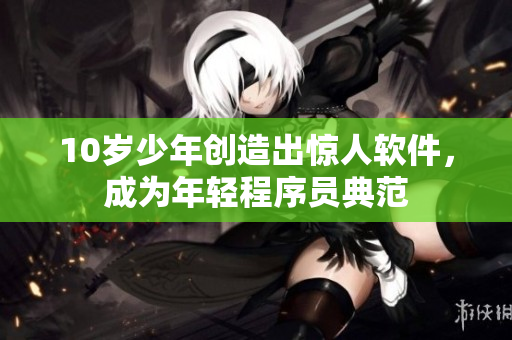 10岁少年创造出惊人软件，成为年轻程序员典范