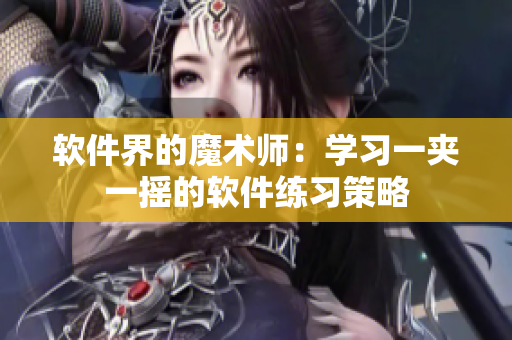 软件界的魔术师：学习一夹一摇的软件练习策略