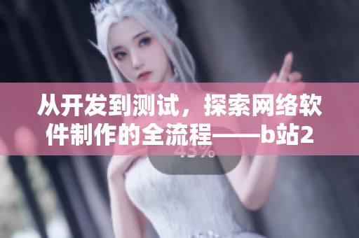 从开发到测试，探索网络软件制作的全流程——b站24小时软件制作直播间
