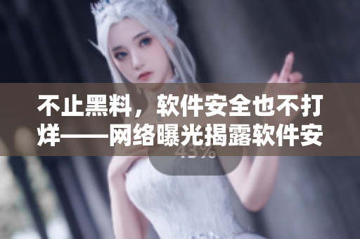 不止黑料，软件安全也不打烊——网络曝光揭露软件安全漏洞