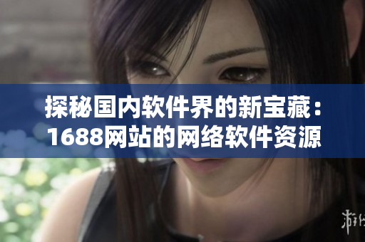 探秘国内软件界的新宝藏：1688网站的网络软件资源