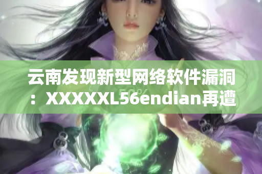 云南发现新型网络软件漏洞：XXXXXL56endian再遭攻击