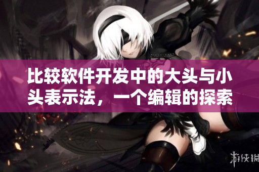 比较软件开发中的大头与小头表示法，一个编辑的探索