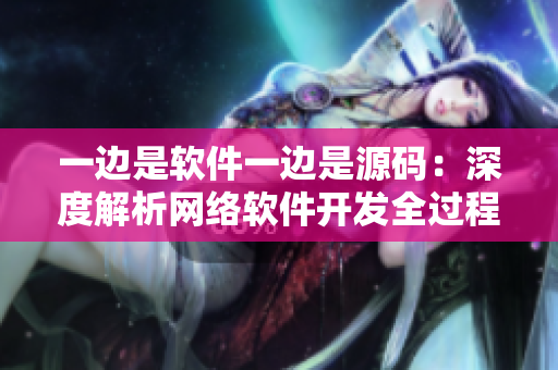 一边是软件一边是源码：深度解析网络软件开发全过程