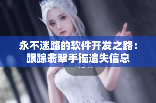 永不迷路的软件开发之路：跟踪翡翠手镯遗失信息