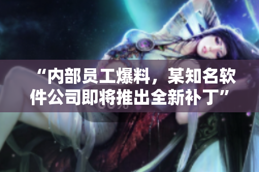 “内部员工爆料，某知名软件公司即将推出全新补丁”
