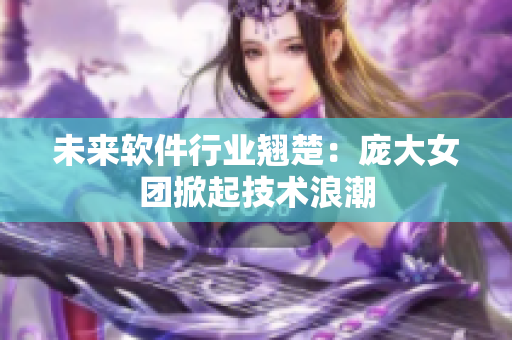 未来软件行业翘楚：庞大女团掀起技术浪潮
