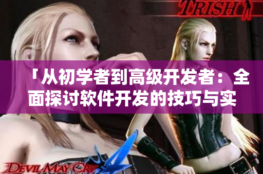 「从初学者到高级开发者：全面探讨软件开发的技巧与实践经验」