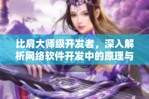 比肩大师级开发者，深入解析网络软件开发中的原理与技巧