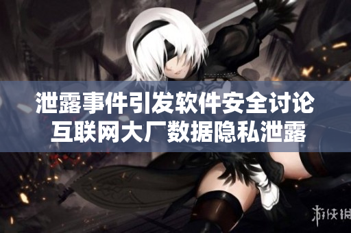 泄露事件引发软件安全讨论 互联网大厂数据隐私泄露事件深度调查