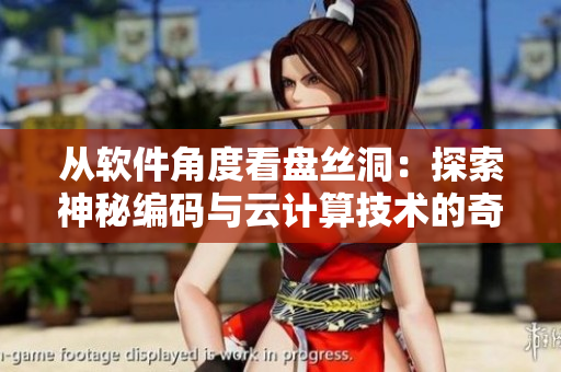 从软件角度看盘丝洞：探索神秘编码与云计算技术的奇妙交织