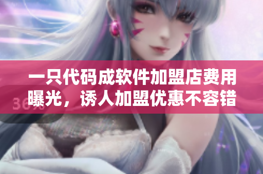 一只代码成软件加盟店费用曝光，诱人加盟优惠不容错过！